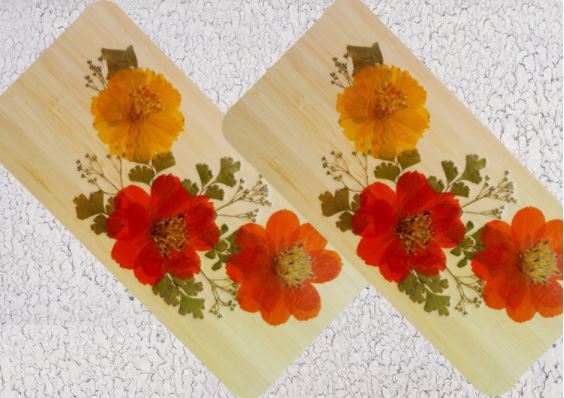 Bambusové Pohľadnice.04