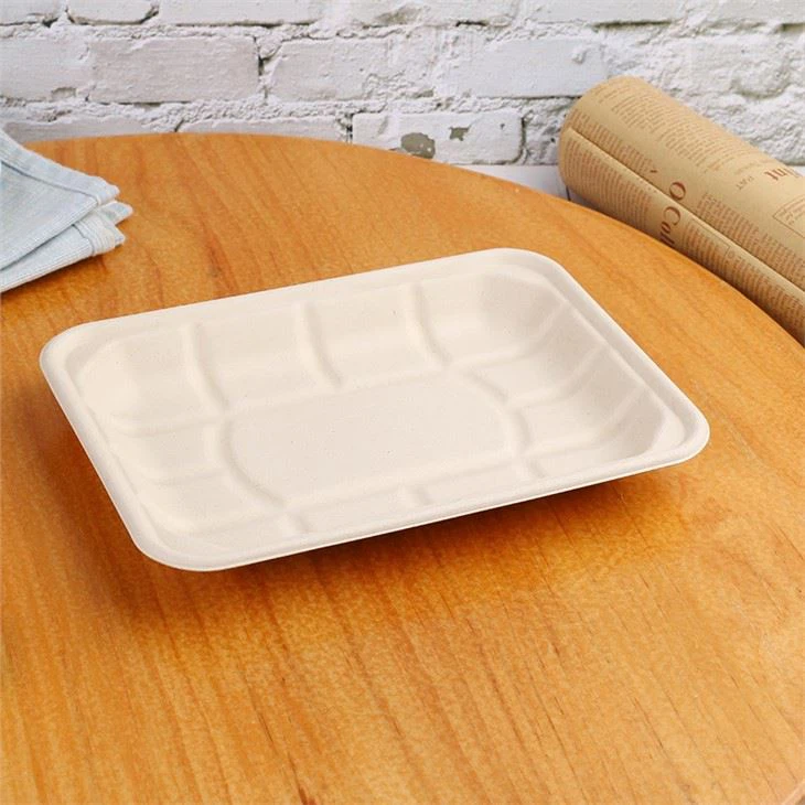 Compostable Sugarcane Meat Tray